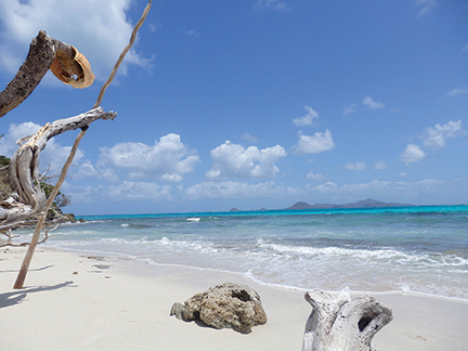 Baradel Island, Tobago Cays, looking at Union Island