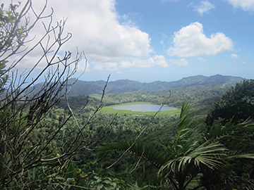 Lush landscape of Grenada