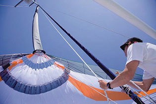 acr40519219005441050354