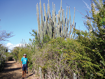 Trail on Isla Caja de Meurtos