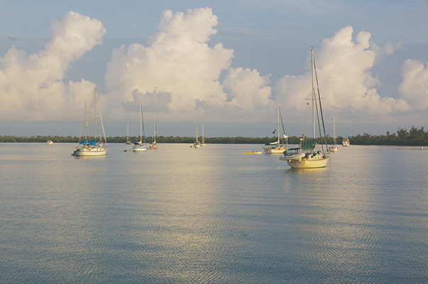 Tide Chart Cayo Costa Florida