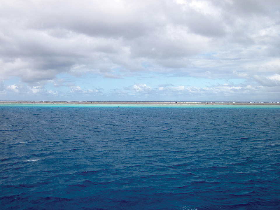 Minerva Reef Chart