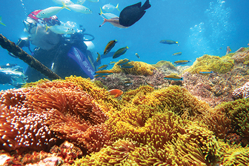 Bamboo Island → Chicken Island → Railay