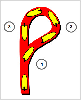 Turn your rudder hard over (position 1). Shift your rudder hard over to the opposite side when you reach 60 degrees from your sailing course (position 2). Continue around until you are sailing on your reciprocal sailing course (position 3).