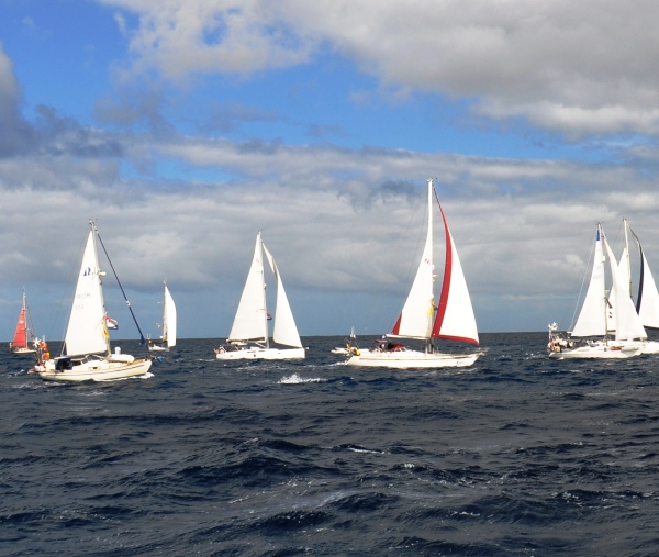 arc boats