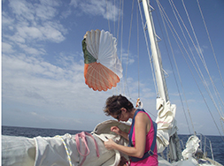 Repairing sails at sea is easy on calm days