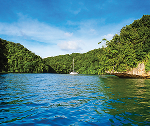 The Palau Guide A guide to yachting and tourism in Palau