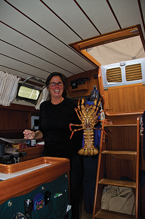 5 crayfish were a gift from a charter fishing boat in Dusky Sound