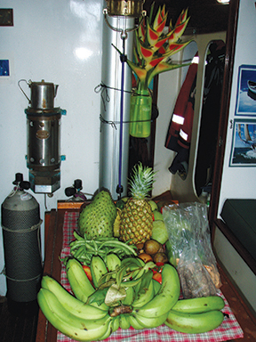 Dominicas produce: plantains, cinnamon, cocoa, pineapple, soursop, manoes, green beans