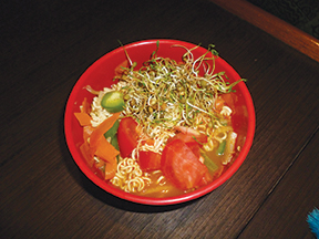 Healthy Noodle Bowl