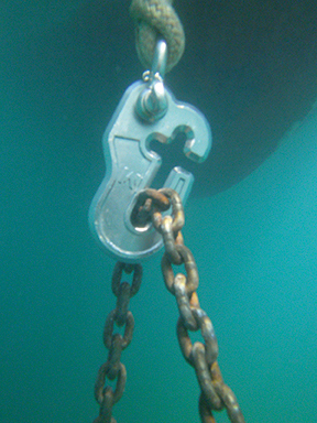 Mantus Chain Hook