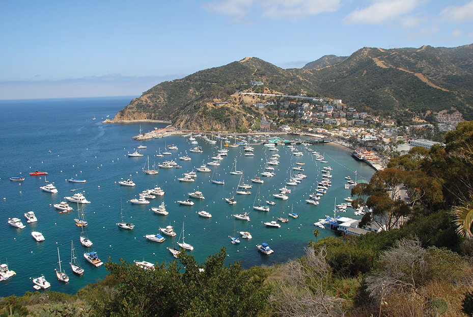 Aerial view of boats parked on Catalina Island California